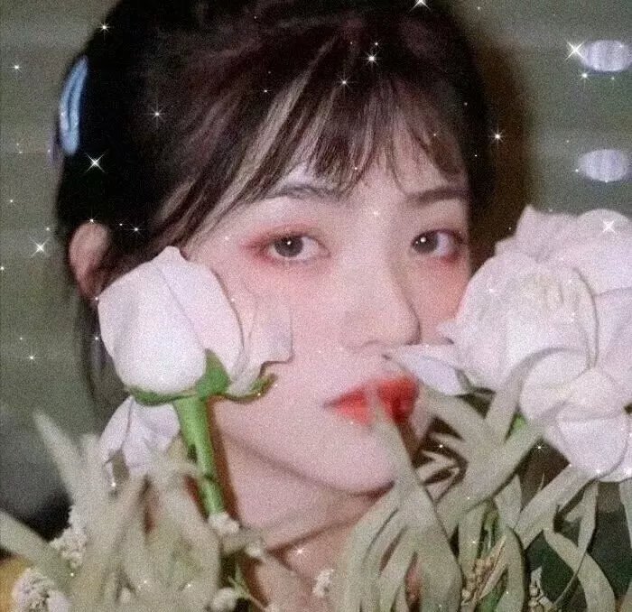 野兽与美人